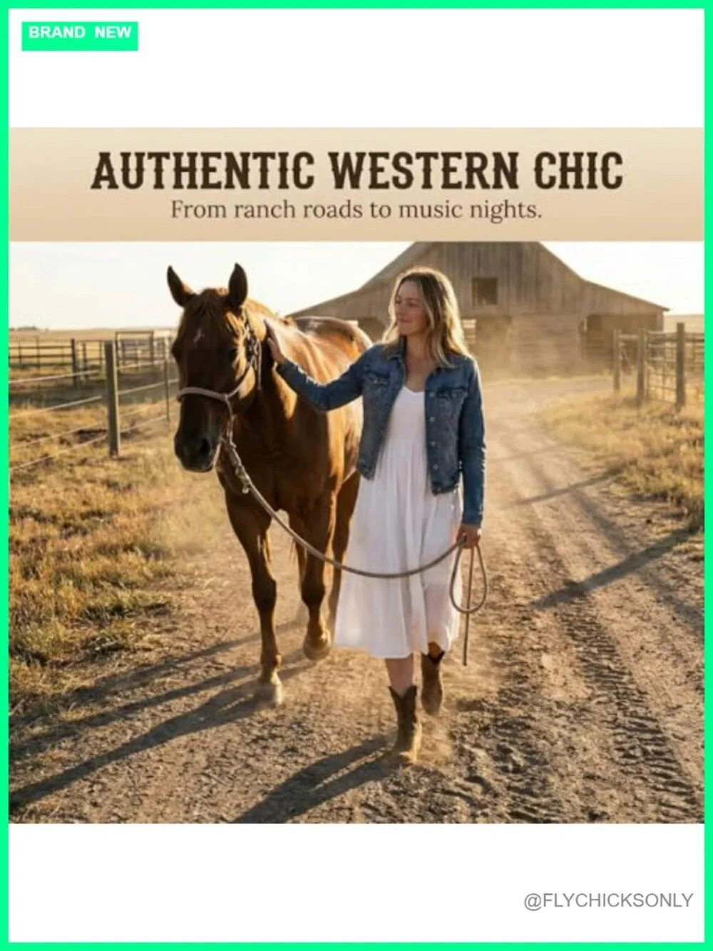 Western Cowboy Boots for Women Short Shaft Side Zip Embroidered Almond Toe